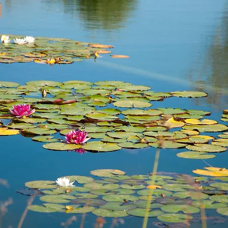 Wecamp Reserva Alecrim * Santiago do Cacém