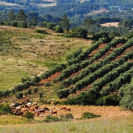 Летний дом Wecamp Reserva Alecrim *